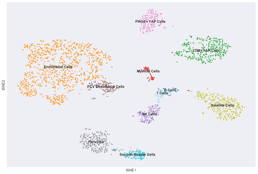 Replication of Figure 2a — T-SNE clustering