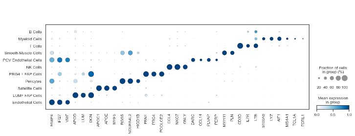 Replication of Figure 2c — marker gene expression