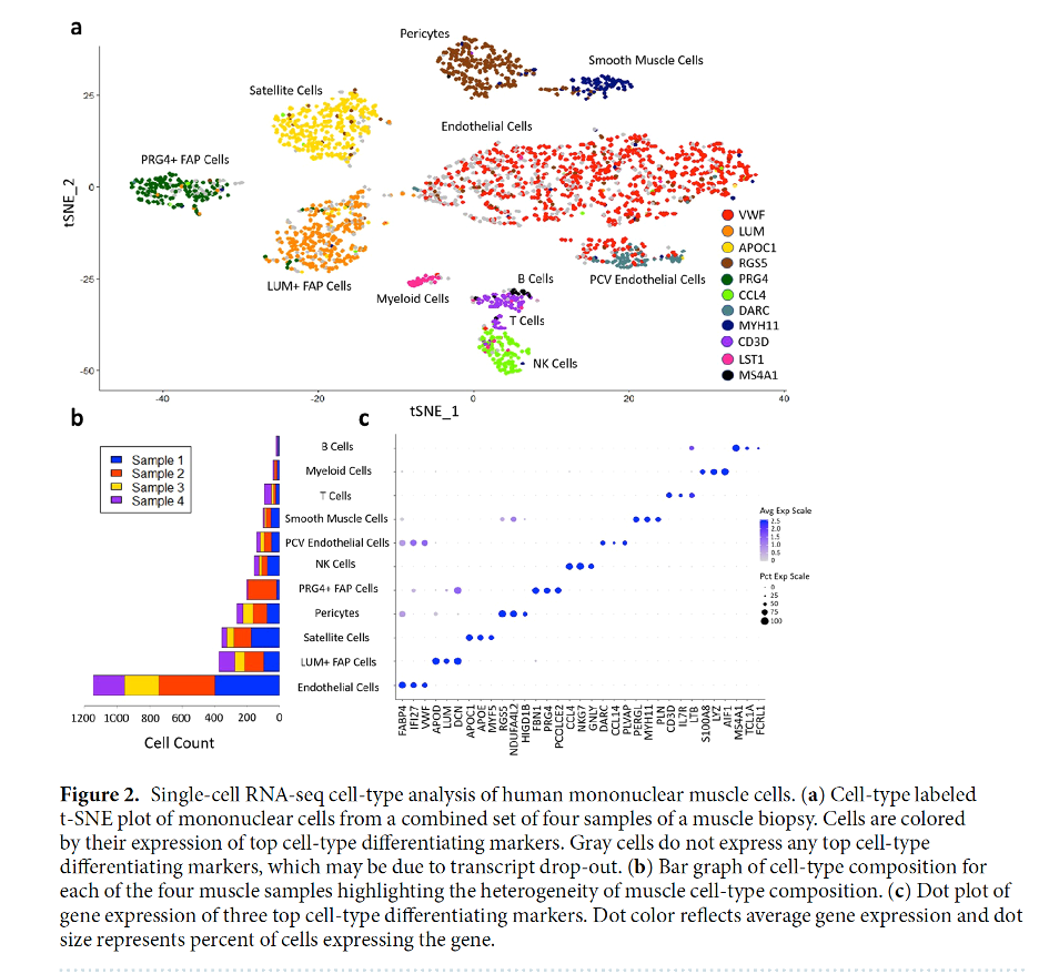 Descriptive Alt Text